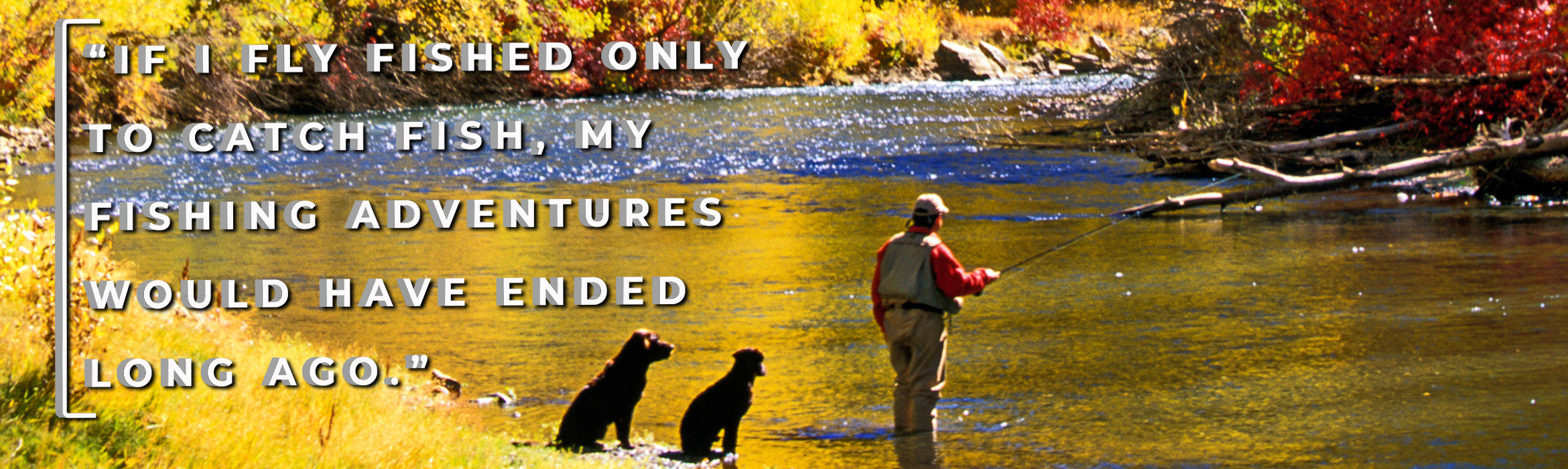 Buy Fly Fishing Flies For Less at DiscountFlies Online Fly Shop